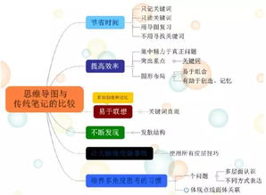 古都西安 思维之网，网络技术服务的璀璨融合